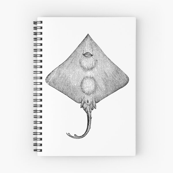 Item preview, Mor Ray  designed and sold by Quill-n-Ink.