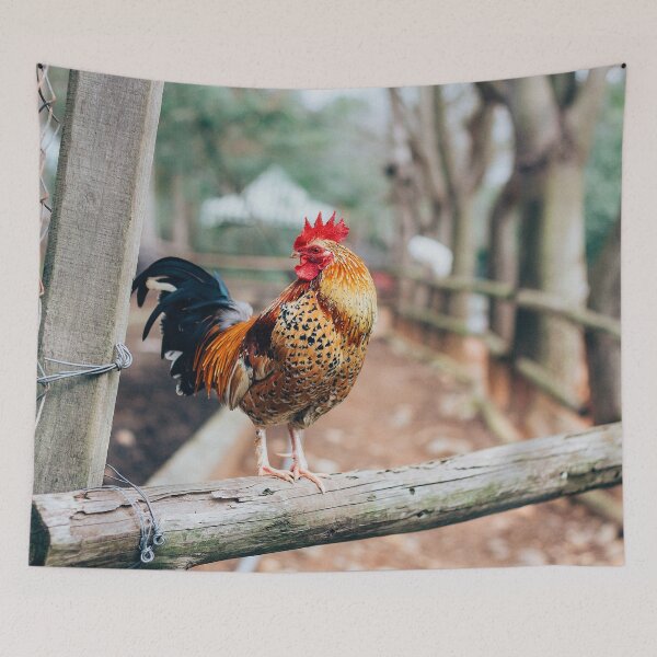 Item preview, Cockerel on A Farm - Cock-a-doodle-do - The Charm of Rural Landscape designed and sold by sthNnth.