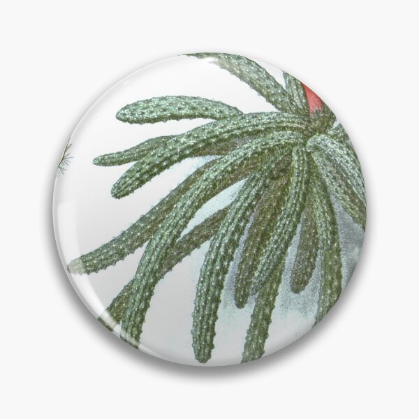 Item preview, Rat Tail Cactus designed and sold by redoARTstore.