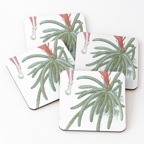 Item preview, Rat Tail Cactus designed and sold by redoARTstore.