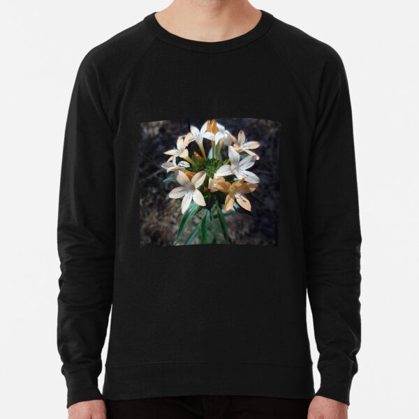 Grand Collomia Lightweight Sweatshirt