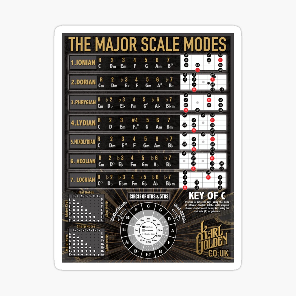 am bass scale