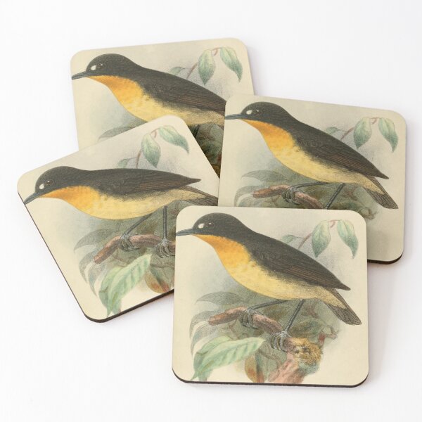 Item preview, Yellow Breasted Forest Robin designed and sold by laguitan10.