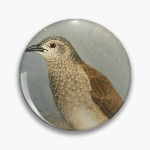 Item preview, Brown Babbler Perched On A Tree designed and sold by laguitan10.