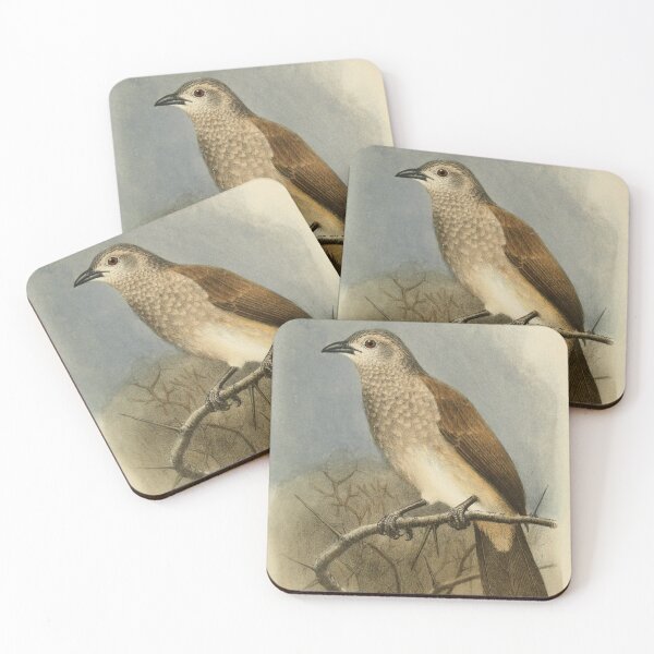 Item preview, Brown Babbler Perched On A Tree designed and sold by laguitan10.