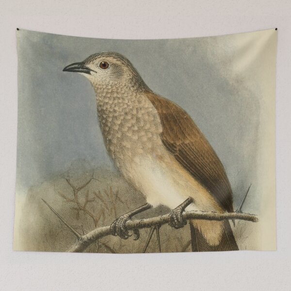 Item preview, Brown Babbler Perched On A Tree designed and sold by laguitan10.