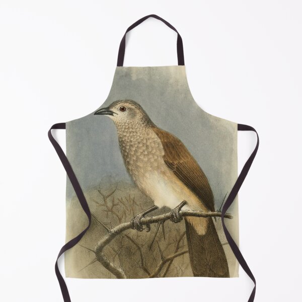 Item preview, Brown Babbler Perched On A Tree designed and sold by laguitan10.