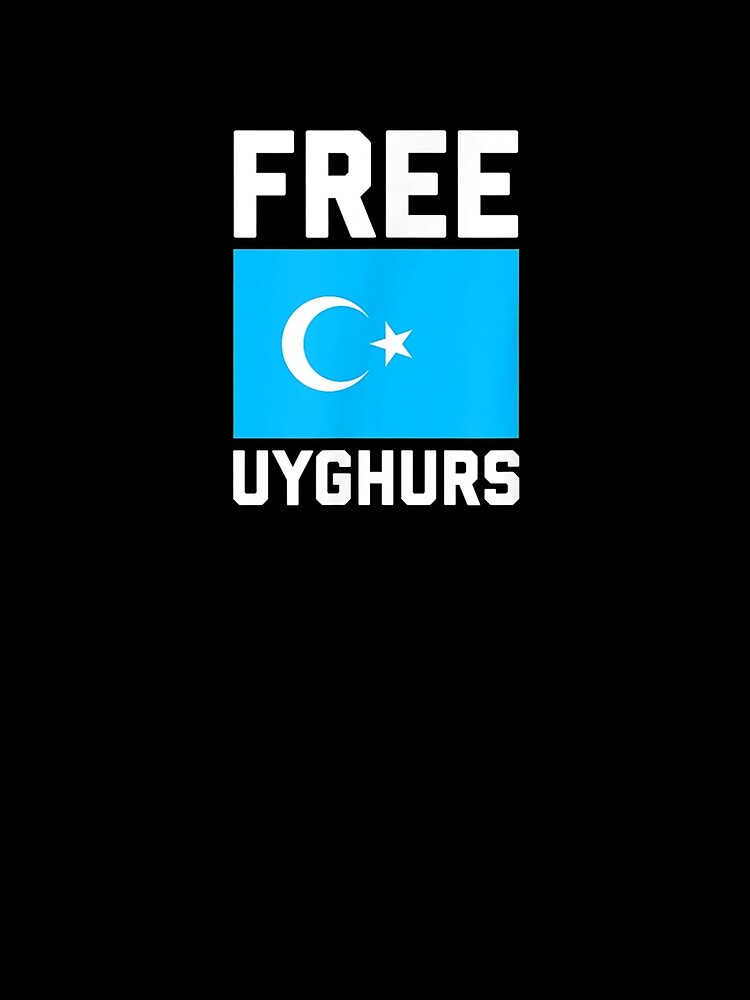 Disover East Turkestan Flag Free Uyghurs Gift  Mini Skirt