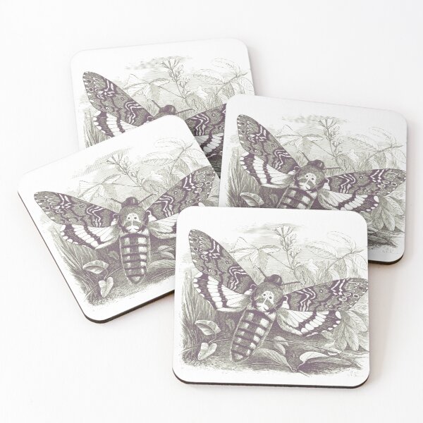 Item preview, moths deaths head moth vintage illustration designed and sold by MiraNomegusta.
