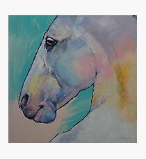 Lipizzan Stallion Photographic Print