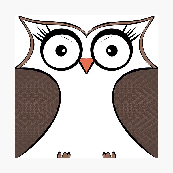 Cute aesthetic hippie owl Photographic Print