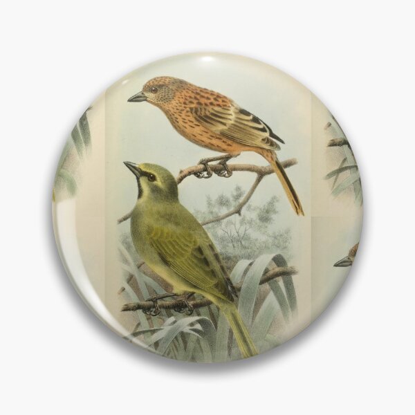 Item preview, Gough Buntings From Gough Island designed and sold by laguitan10.