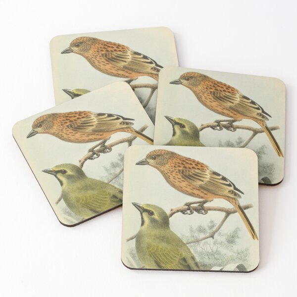 Item preview, Gough Buntings From Gough Island designed and sold by laguitan10.