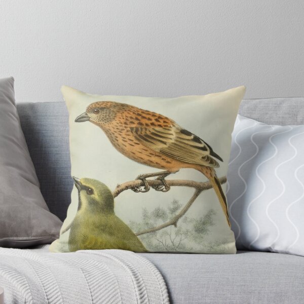 Item preview, Gough Buntings From Gough Island designed and sold by laguitan10.