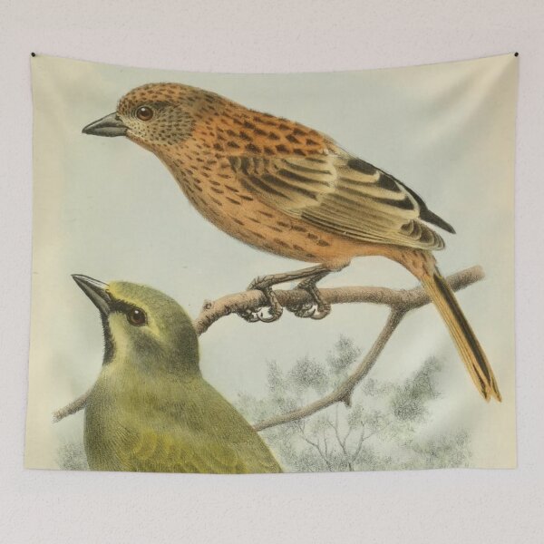 Item preview, Gough Buntings From Gough Island designed and sold by laguitan10.