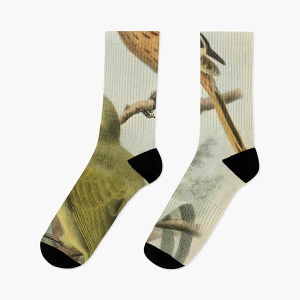 Item preview, Gough Buntings From Gough Island designed and sold by laguitan10.