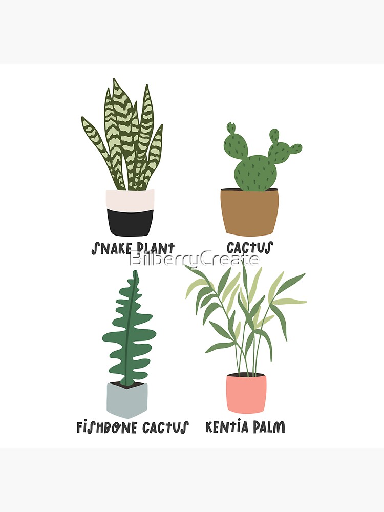 "POTTED PLANTS WITH NAMES" Sticker for Sale by BilberryCreate Redbubble