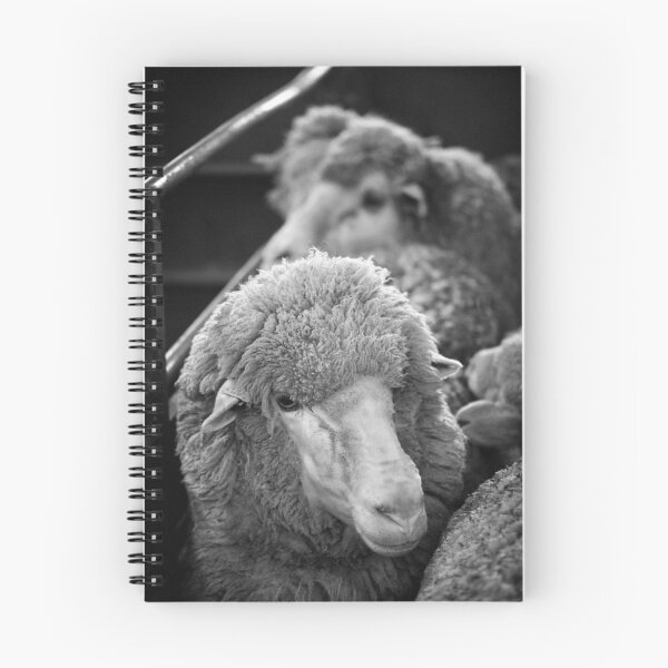 Item preview, Shearing #10 -  Clifton Farm , Dumbleyung  designed and sold by Malcolm Heberle.