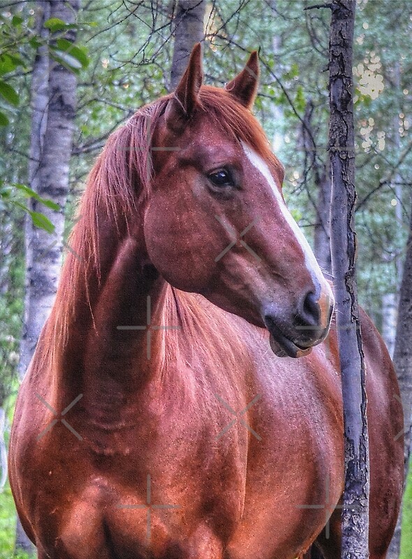 “Red Flame (Sorrel Mare Portrait for Horse-lovers)” by Skye Ryan-Evans