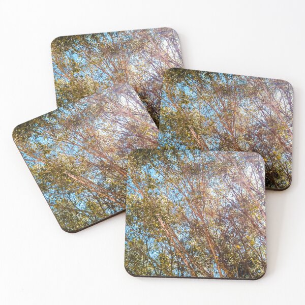 Item preview, Trees and Flare designed and sold by Mauricio Santana.