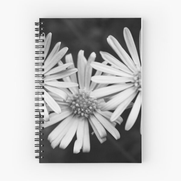 Item preview, Triple daisy print designed and sold by PandyFreddy.