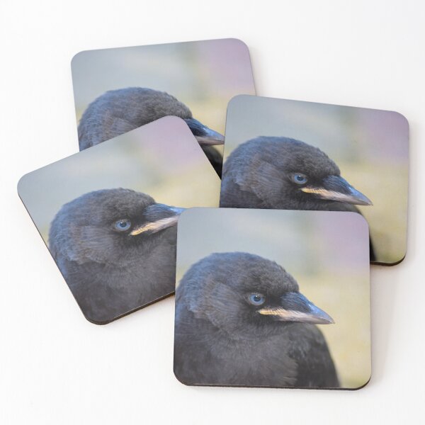 Item preview, Jackdaw  designed and sold by Anita van Gendt.