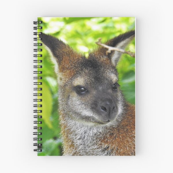 Item preview, Wallaby designed and sold by StudioCorvid.