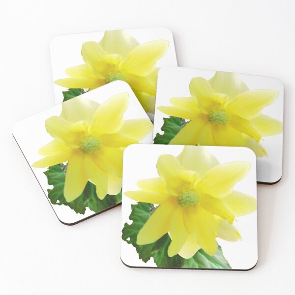 Item preview, Yellow Begonia Flower designed and sold by Leslie Hasty.