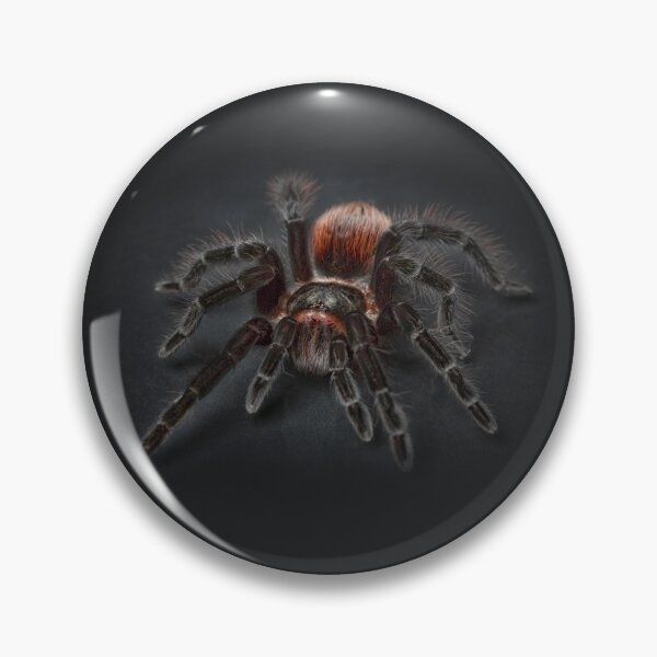 Item preview, Spider designed and sold by S-K-A-T-E.