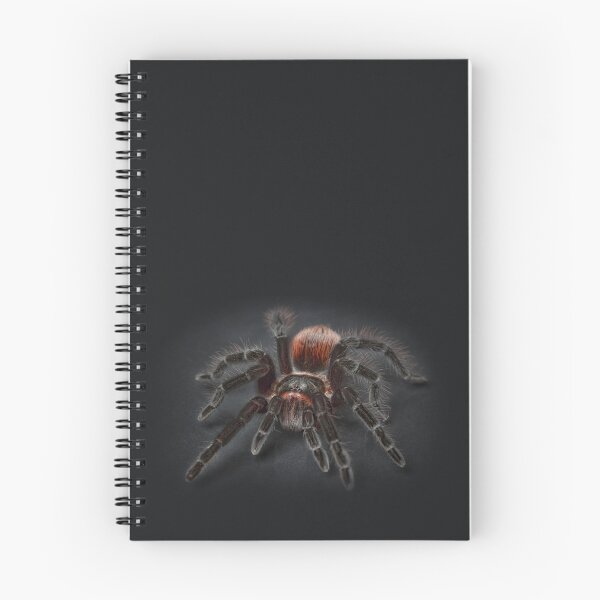 Item preview, Spider designed and sold by S-K-A-T-E.