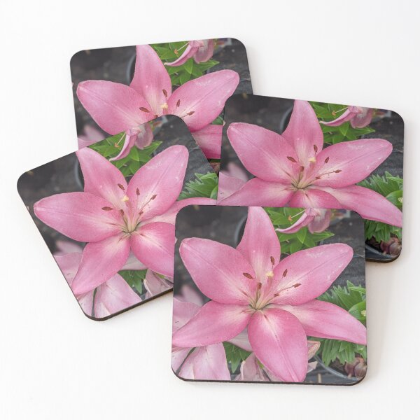 Item preview, Big Pink Flower Photographic Image designed and sold by AustaArt.