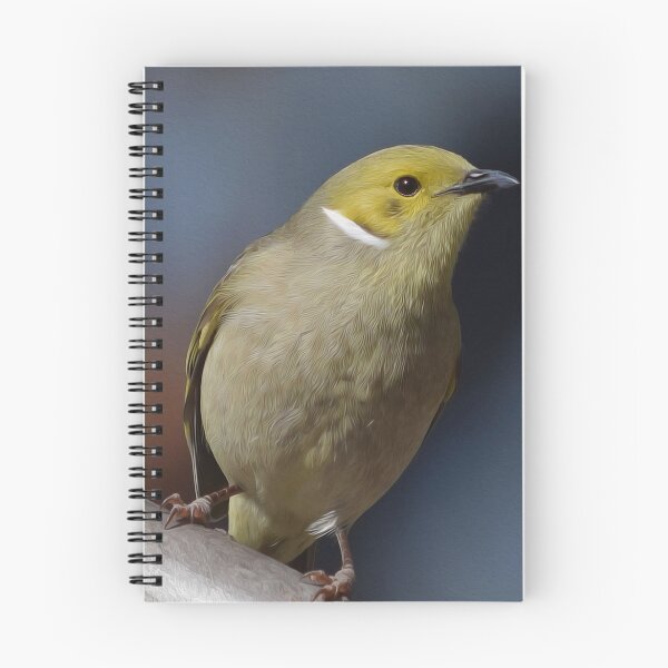 Item preview, White-plumed Honeyeater designed and sold by BirdartPro.