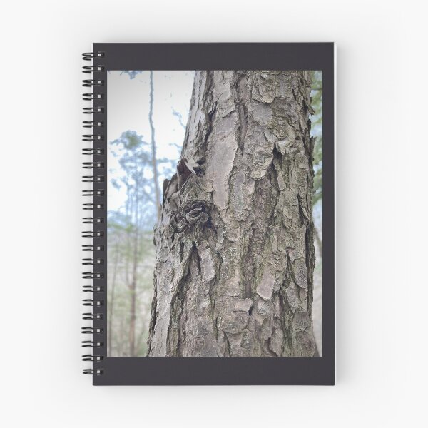 Item preview, EASTERN HEMLOCK: Bark designed and sold by Max Kindly.