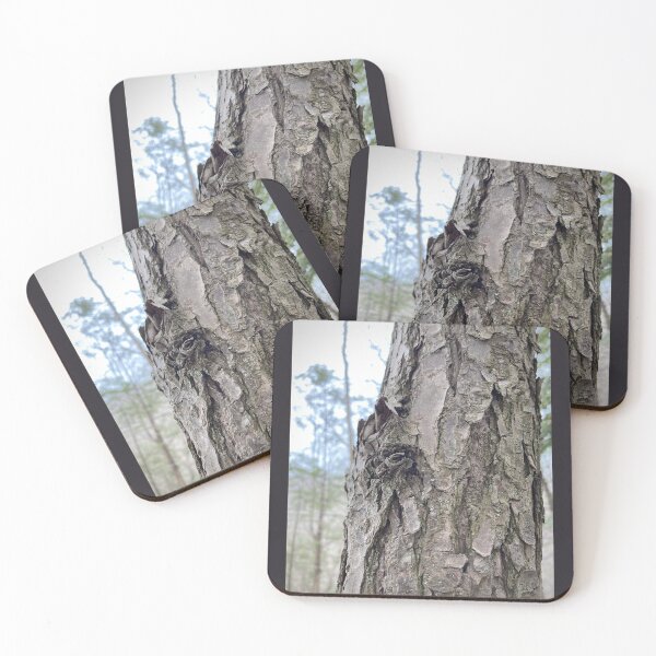 Item preview, EASTERN HEMLOCK: Bark designed and sold by Max Kindly.