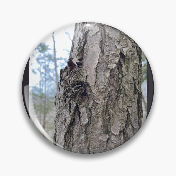 Item preview, EASTERN HEMLOCK: Bark designed and sold by Max Kindly.