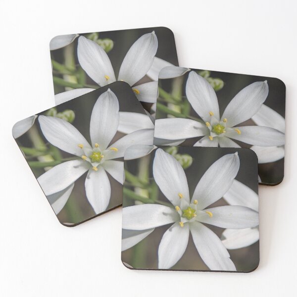 Item preview, White flowers designed and sold by Calidris Fotografie Steffi & Ben Köppler.