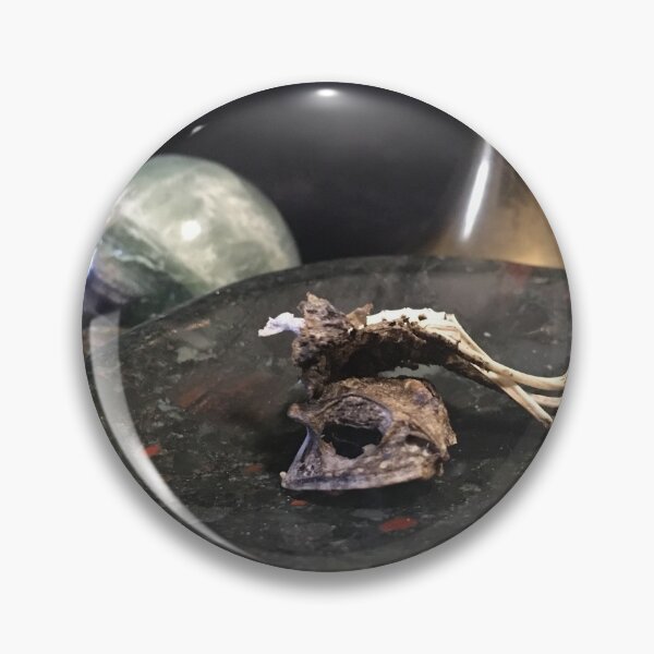 Item preview, Gecko Portrait designed and sold by emmamemmamu.