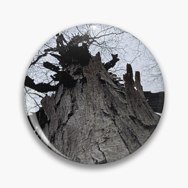 Item preview, SHAGBARK HICKORY: Unique Trees designed and sold by Max Kindly.