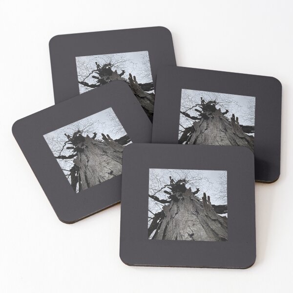 Item preview, SHAGBARK HICKORY: Unique Trees designed and sold by Max Kindly.