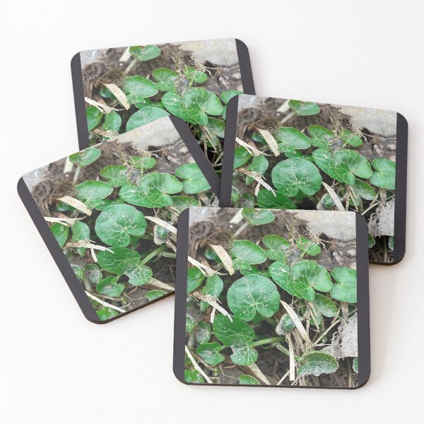 Item preview, Lesser Celandine: A BUTTERCUP designed and sold by Max Kindly.