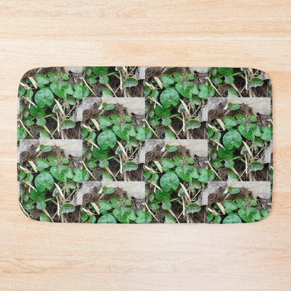 Item preview, Lesser Celandine: A BUTTERCUP designed and sold by Max Kindly.