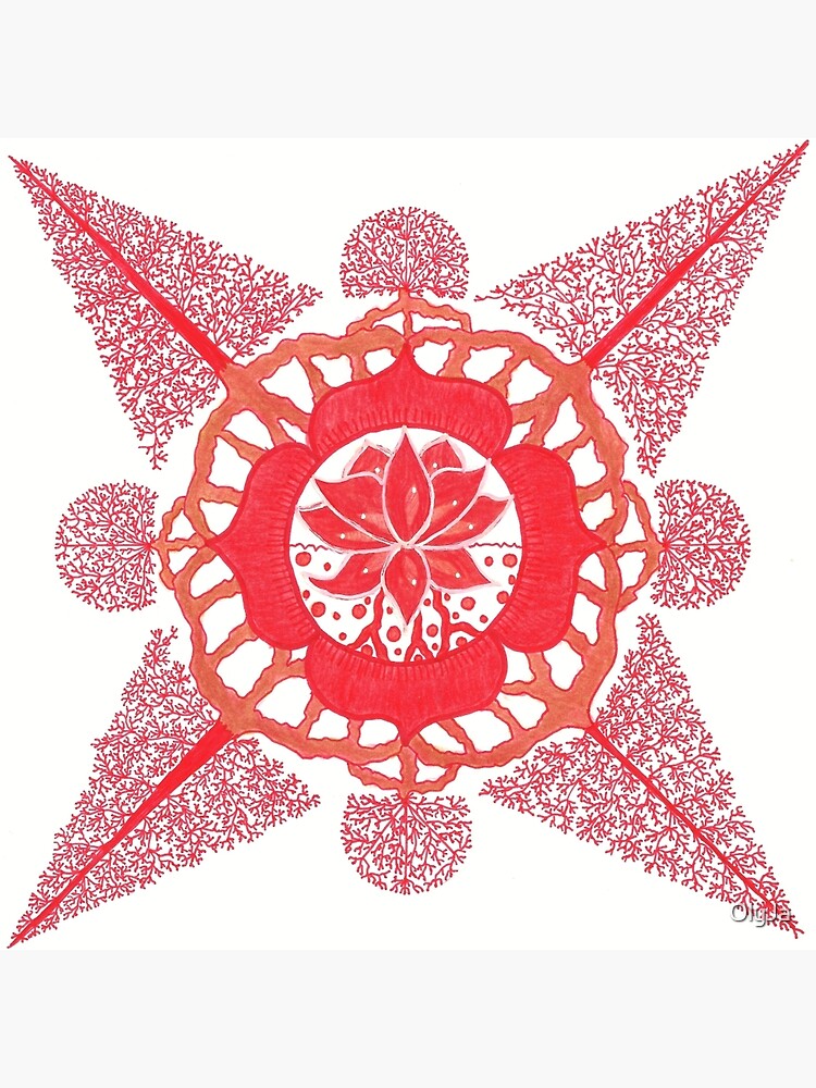 "Lotus Root Chakra" Photographic Print by OlyJa | Redbubble