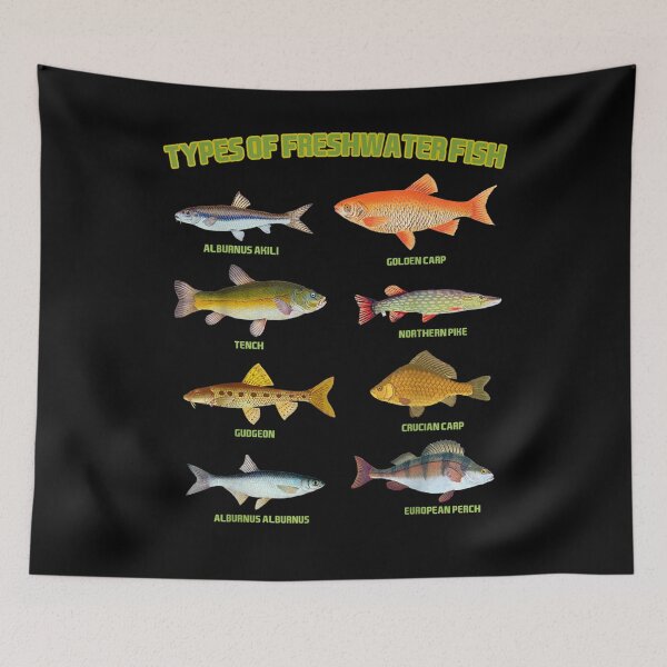 Item preview, Types Of Freshwater Fish Species Fishing Lover Men Boy Gift  designed and sold by barnowl16.