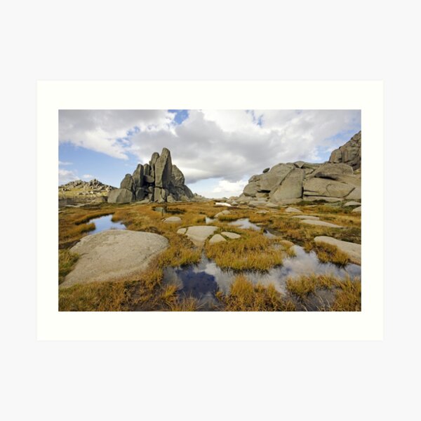 Granite Sentries Art Print