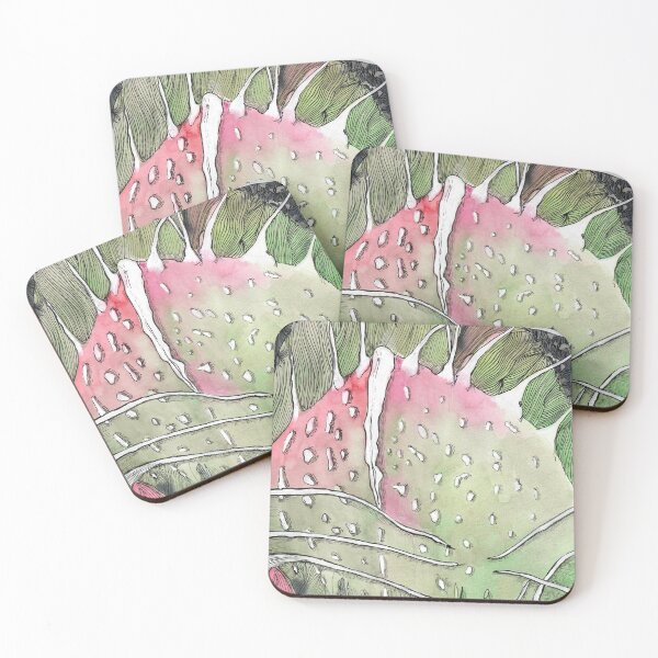Item preview, cactus faukaria 2 designed and sold by MariaY25.