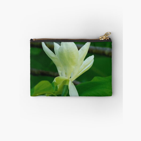 Artikelvorschau, Regenschirm Magnolie entworfen und verkauft von BRENDA DOHERTY.