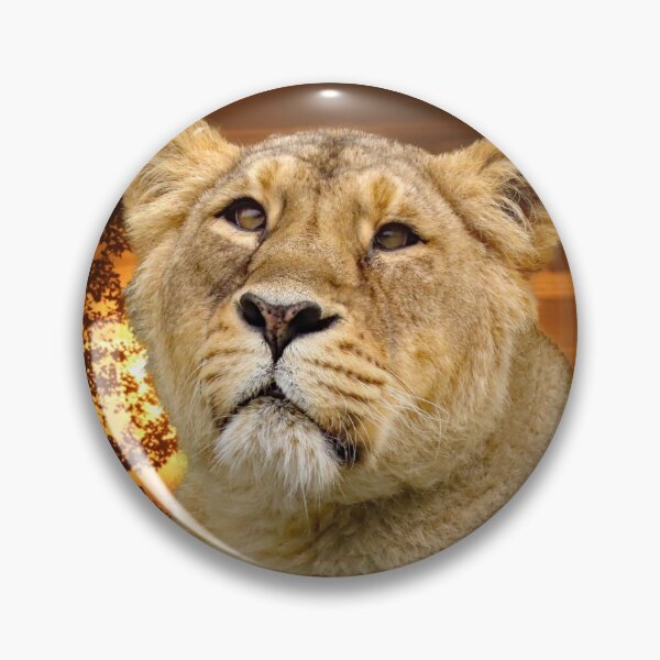 Item preview, A Wonderful Sunset and a Gorgeous Lioness designed and sold by Karen Thomson.
