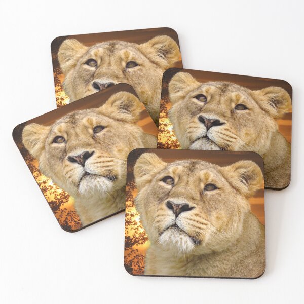 Item preview, A Wonderful Sunset and a Gorgeous Lioness designed and sold by Karen Thomson.