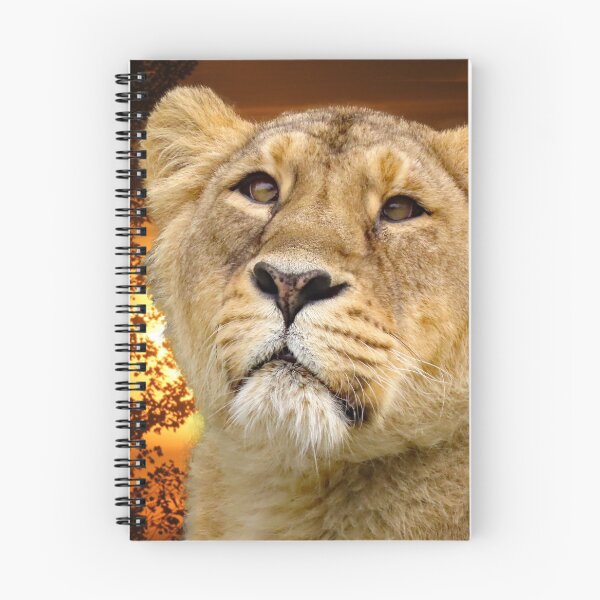 Item preview, A Wonderful Sunset and a Gorgeous Lioness designed and sold by Karen Thomson.