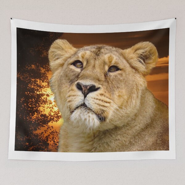 Item preview, A Wonderful Sunset and a Gorgeous Lioness designed and sold by Karen Thomson.